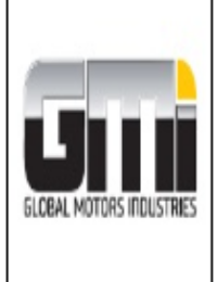 temoignage GLOBAL MOTORS INDUSTRIES MEHDI MESLEM